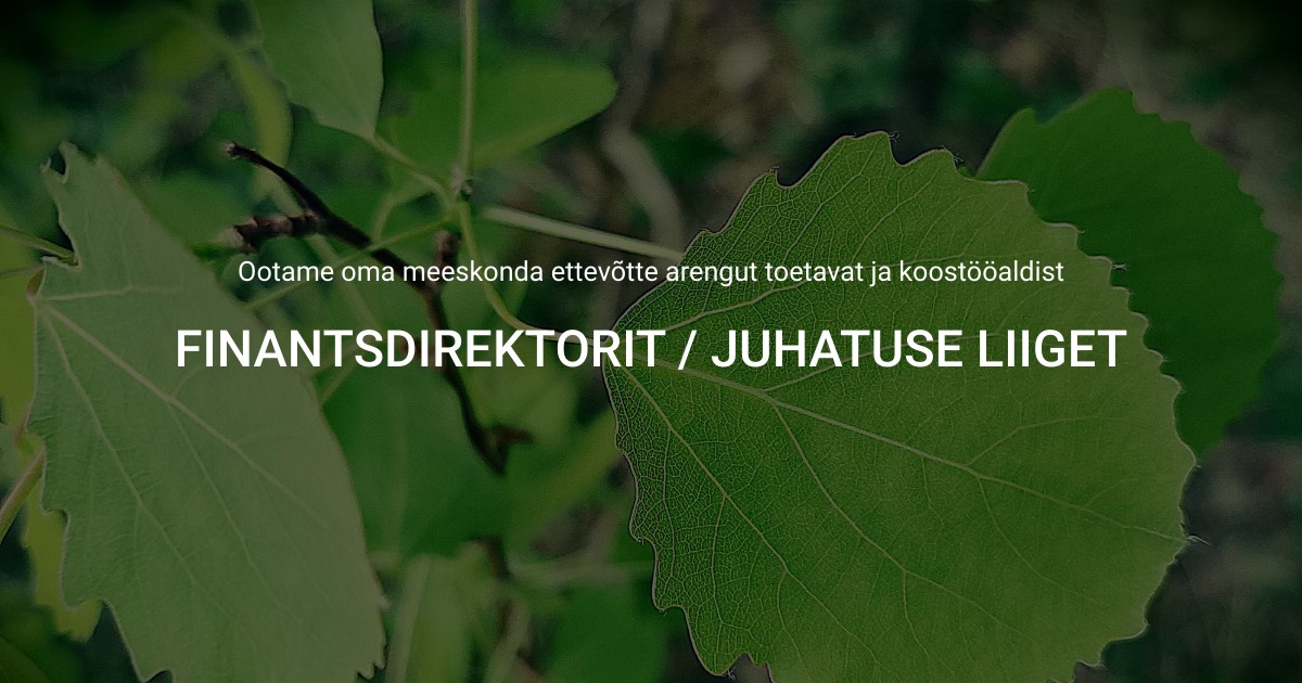 FINANTSDIREKTOR / JUHATUSE LIIGE