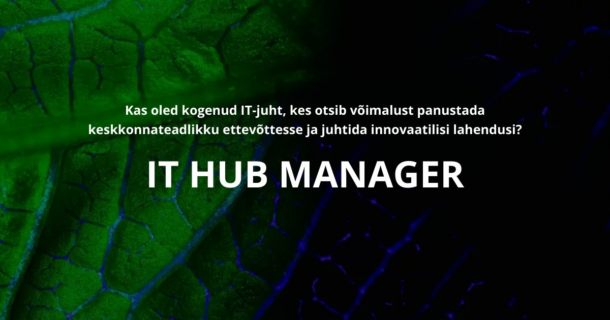 IT HUB MANAGER