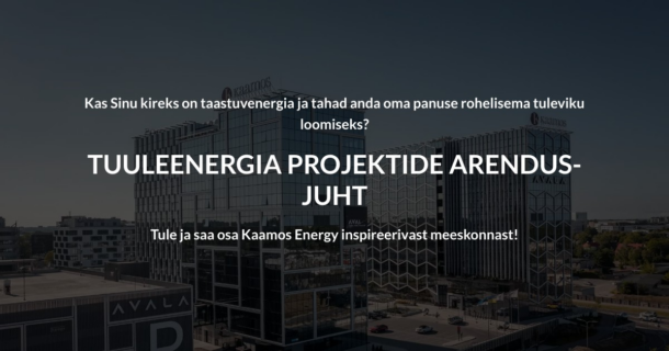 TUULEENERGIA PROJEKTIDE ARENDUSJUHT