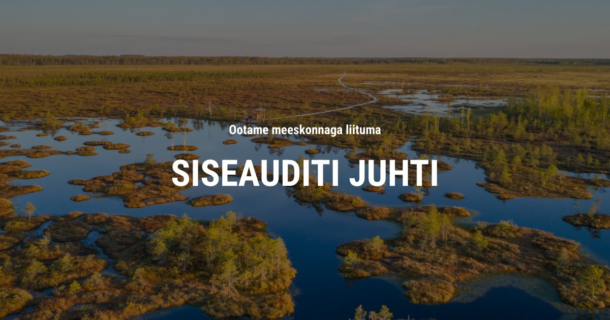 SISEAUDITI JUHT